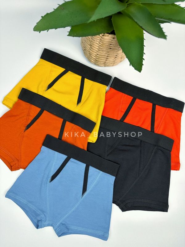 Боксери George  2-3 / 3-4 р.